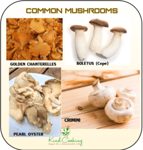 Common mushrooms images