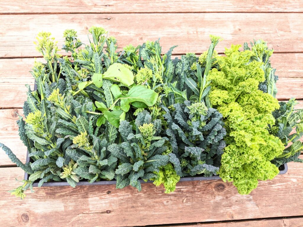 Kale flowerets