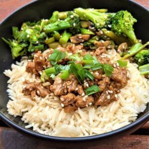 Vegan Mongolian beef over rice