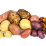 Assortment of potatoes