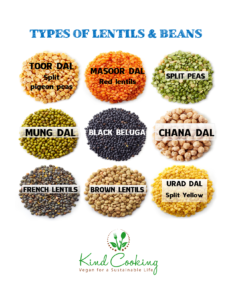 Bean and lentil types