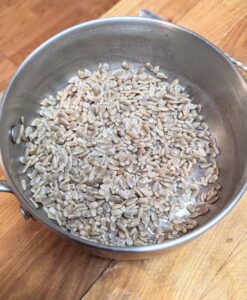 blanched sunflower seeds
