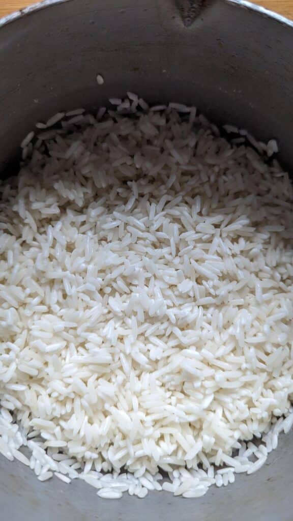 Sprouted rice