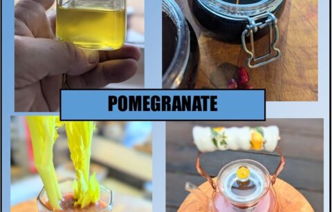 Pomegranate DIYs